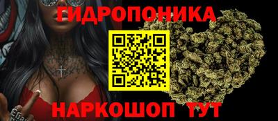 сатива Конаково
