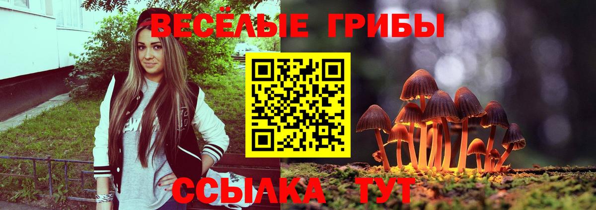 Псилоцибиновые грибы прущие грибы Донской