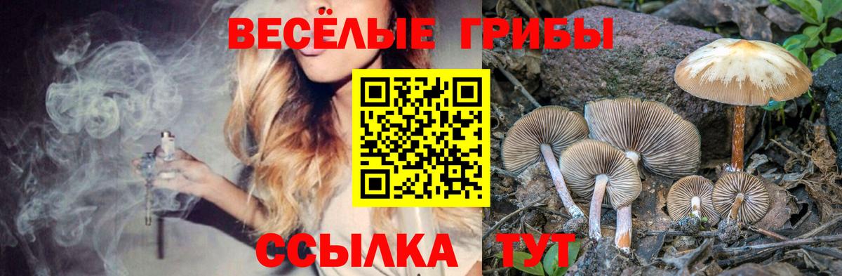 Псилоцибиновые грибы ЛСД  Вход с VPN  Донской 